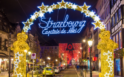 Strasbourg : La Capitale Insoupçonnée de la Gastronomie Insecte