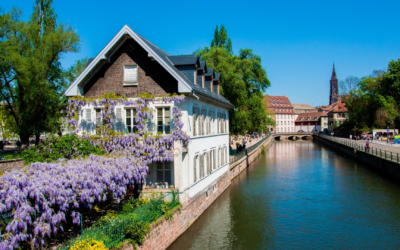 Strasbourg : L&rsquo;étrange phénomène des jardins cachés